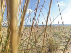 Restauración del Foix – Duplicado – [#861]