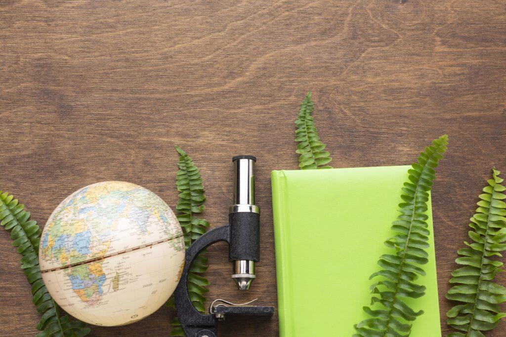 gestión espacios naturales ayuntamientos