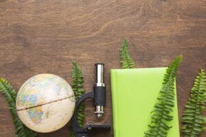 gestión espacios naturales ayuntamientos