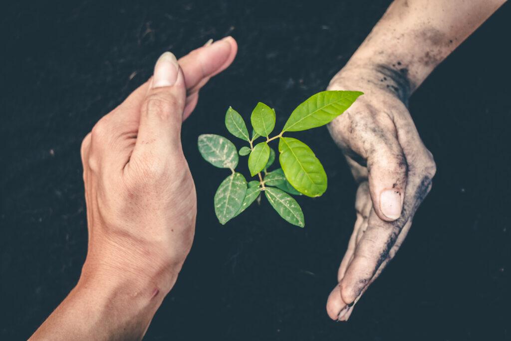 consejo de protección de la naturaleza