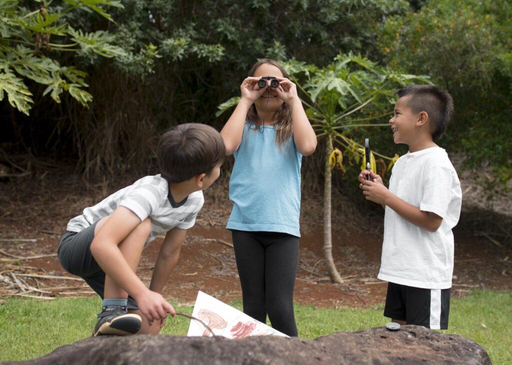 consejo de protección de la naturaleza