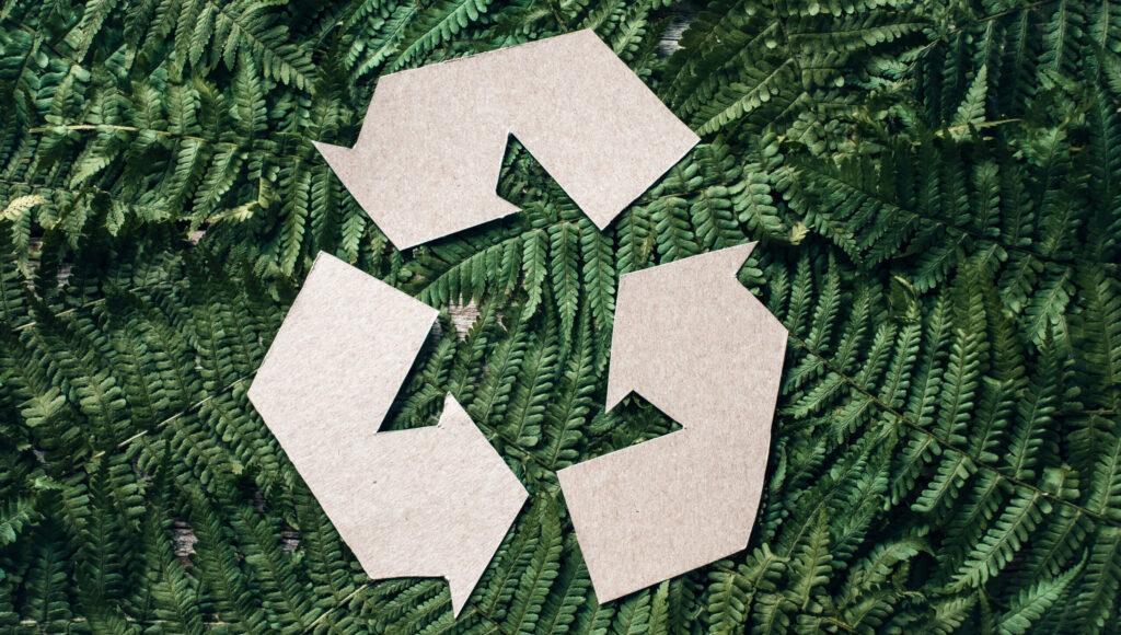 subvenciones restauración medioambiental 2025