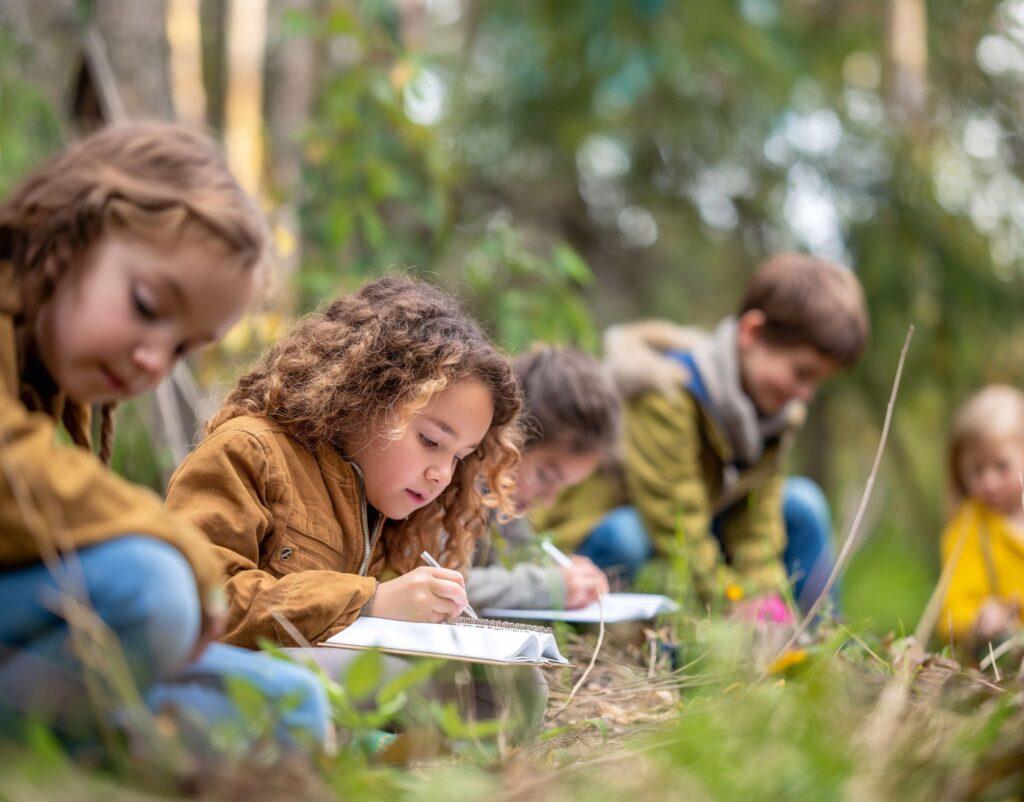 10 actividades de educación ambiental
